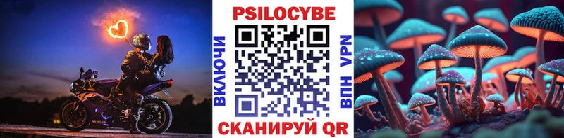 Псилоцибиновые грибы ЛСД  закладки  shop формула  Катайск 